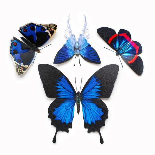 'Iolite' Butterfly 4 piece Set