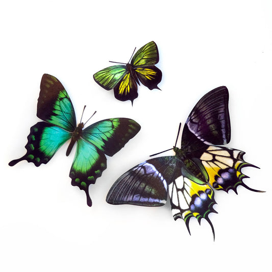 'Malachite' Butterfly 3 piece Set