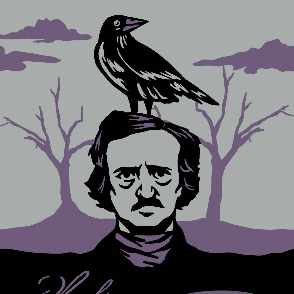 The Raven Poe Socks