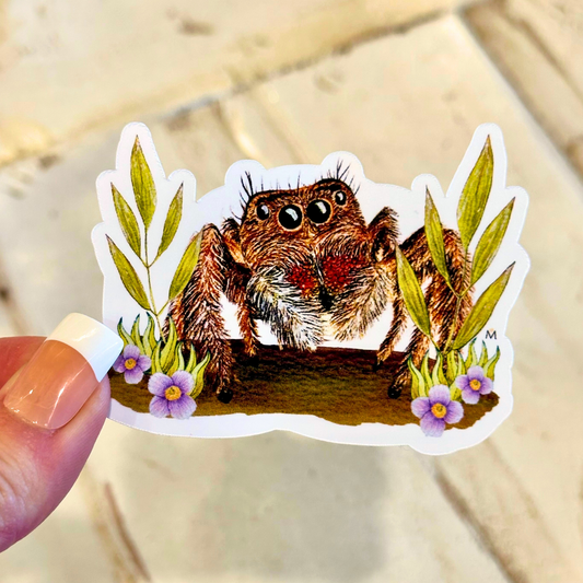 Handmade and Hand-Illustrated Happy Jumping Spider Sticker